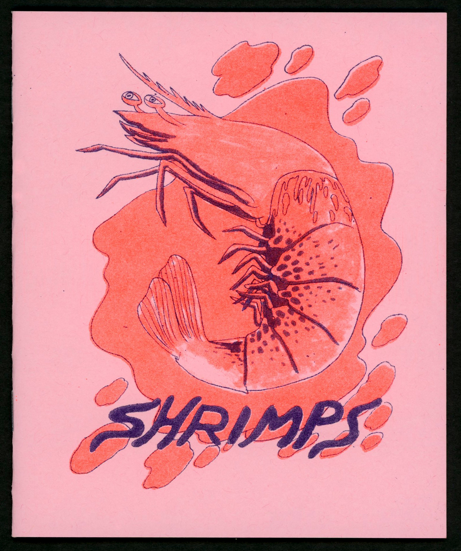Endless Editions Shrimps